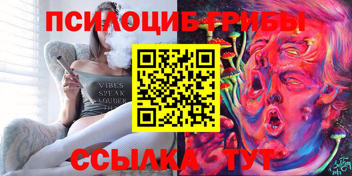 Галлюциногенные грибы Cubensis Тосно